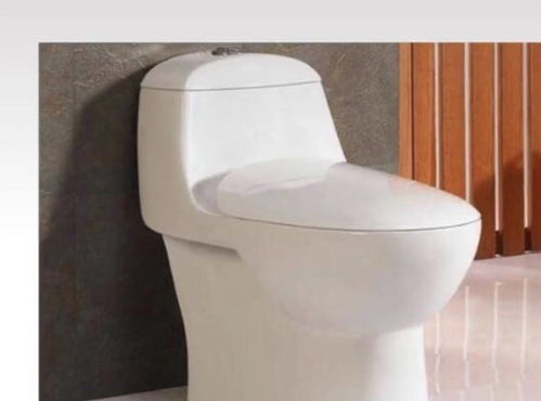 十年衛(wèi)浴銷售專家揭秘 選對(duì)馬桶，潔凈廁所長(zhǎng)久無(wú)憂