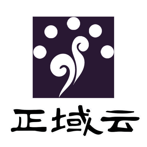 新疆正域云科技 深耕信息系統集成，賦能數字化未來
